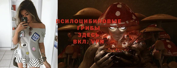 СК Абаза