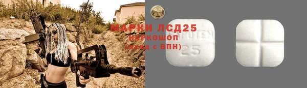 дмт Протвино