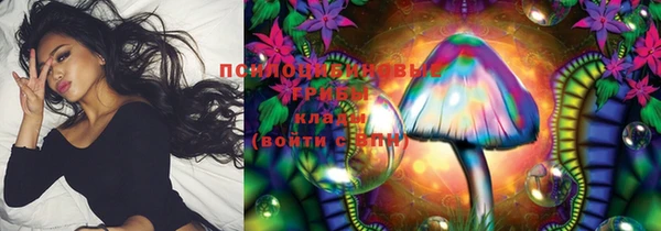 мяу мяу мука Покровск
