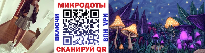 как найти закладки  Руза  OMG маркетплейс  Псилоцибиновые грибы Psilocybine cubensis 
